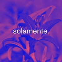 solamente. logo - Similar company to Museo In Erba Lugano
