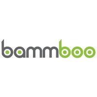 Bammboo logo - Similar company to Mustard Underwriting