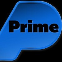 PRIME OFFICE SYSTEMS PVT.LTD logo - Similar company to Ergomaxx
