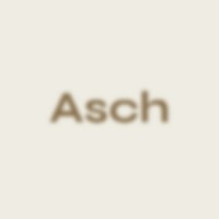 Asch Building logo - Similar company to Novalash