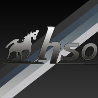 HSO Ayakkabı Malzemeleri logo - Similar company to Şenpa Ayakkabı