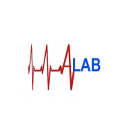 A-LAB Mühendislik LTD. ŞTİ. logo - Similar company to Incensus Co.