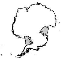 Antarctic Software
