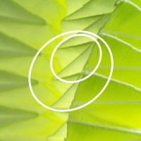 Studio Samira Boon logo - Similar company to Studio Aok