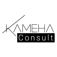 Kameha Consult logo - Similar company to Little Syster