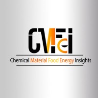 CMFE Insights logo - Similar company to Research Layer
