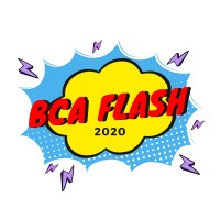 BCA Flash logo - Similar company to Hackbca