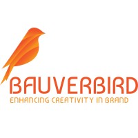 The Bauverbird logo - Similar company to E Search Solutions