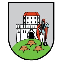 Grad Bjelovar logo - Similar company to Plavi Oglasnik