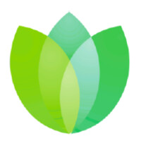 ASN Consulting LLC logo - Similar company to Klc Consulting Llc