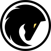 Stallion Equity Management LLC logo - Similar company to Playminds™