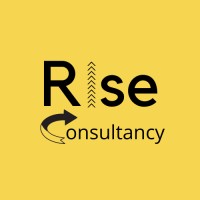 Rise Consultancy logo - Similar company to Badri Webtech