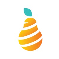Nashpati Peel logo - Similar company to Digisol Square