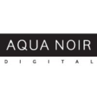 Aqua Noir Digital logo - Similar company to Auraa Brand Consultants