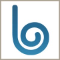 blu Marketing Solutions logo - Similar company to Trishoka Digital Services