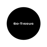 SO TISSUS logo - Similar company to Eyrelles Tissus