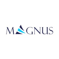 Magnus Soft Technologies LLC logo - Similar company to Magus It Solutions Pvt Ltd
