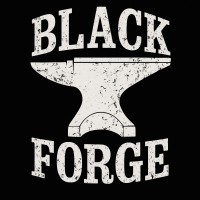 Black Forge Capital logo - Similar company to Blackforge