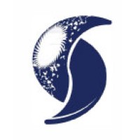 Scintillon Institute logo - Similar company to Project Binary