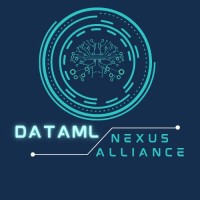 DataMl Nexus Alliance logo - Similar company to Secure Ethics