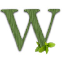Webmowgli Professional Web Development Services logo - Similar company to Development Beez