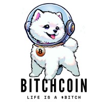 Bitchcoin logo - Similar company to Jump Digital Ltd