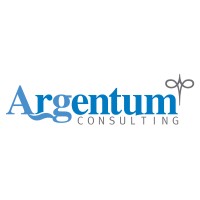 Argentum Consulting logo - Similar company to Embs Itba