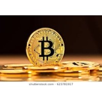 Bitcoin Exchanger logo - Similar company to Bitcoin & Blockchain Official Cluster | El Salvador