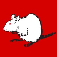 Rato Branko