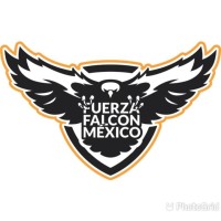 Fuerza Falcon Mexico S.A. De C.V.
