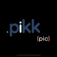 pikk logo - Similar company to Get Excelsior
