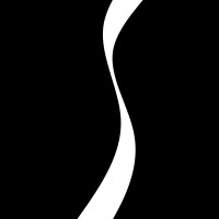 SilkRoad.Style logo - Similar company to Sepidar.Design