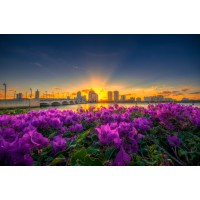 TANGIBLE ACCOUNTING, PLLC logo - Similar company to Snodgrass Accounting