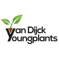 Van Dijck Young Plants B.V. logo - Similar company to Ezendam Groep