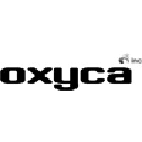 Oxyca Group Inc. logo - Similar company to Woxlink Development
