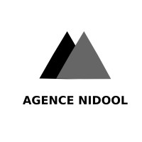 Agence Nidool logo - Similar company to Dalmarapp