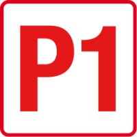 P1 S.R.L. logo - Similar company to Pdm S.P.A.