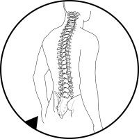 EndoSpine Academy logo - Similar company to Or-X