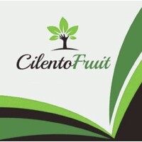 Cilento Fruit s.r.l. logo - Similar company to Inserbo Srl