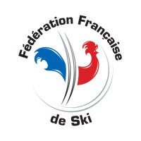 Fédération Française de Ski - FFS logo - Similar company to Fm Informatique