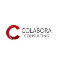 Colabora Consulting logo - Similar company to Dritive Advisory