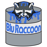 Blu Raccoon Studios
