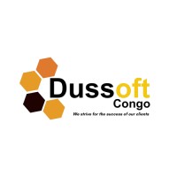 Dussoft Congo Sarl logo - Similar company to Solved6