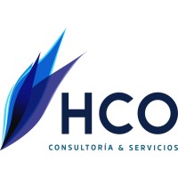 HCO Consultoría y Servicios logo - Similar company to Pmi Puebla