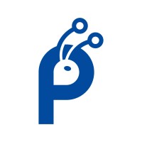 Pipra IT logo - Similar company to Tech Help Bd