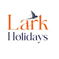 Lark DMC logo - Similar company to Vac Softtech