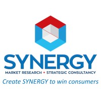 Synergy Market Research + Strategic Consultancy logo - Similar company to Fastforward
