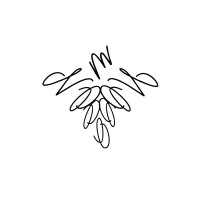 Monnari logo - Similar company to Brix Jeanswear