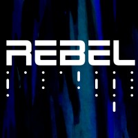 Rebel Research logo - Similar company to Seaflight Technologies (Yc S22)