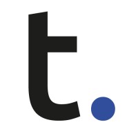 Thein Digital logo - Similar company to Thein Security